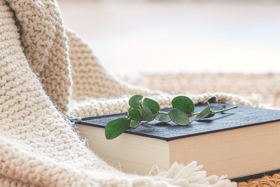 Gestrickte Decke und Buch mit Eukalyptusblättern